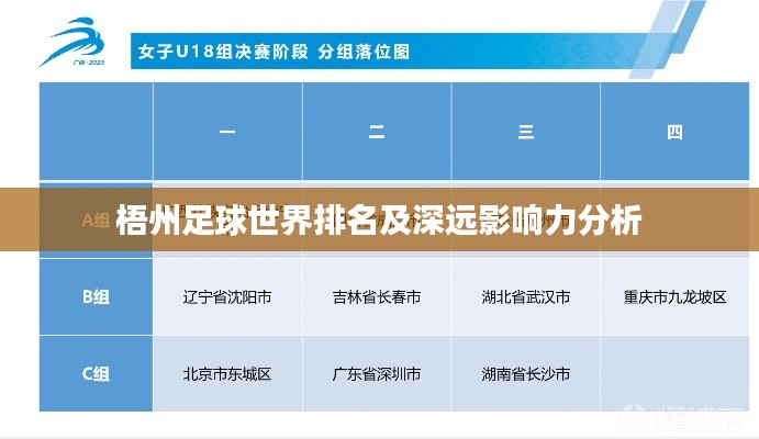 梧州足球世界排名及深远影响力分析