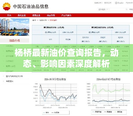杨桥最新油价查询报告，动态、影响因素深度解析