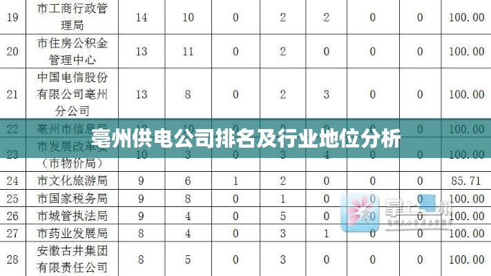 亳州供电公司排名及行业地位分析