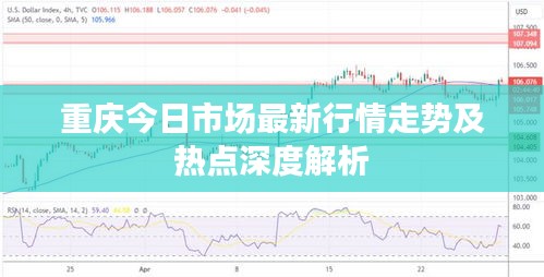 重庆今日市场最新行情走势及热点深度解析