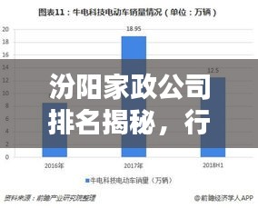 汾阳家政公司排名揭秘，行业深度分析与趋势解读