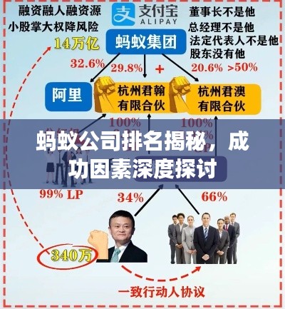 蚂蚁公司排名揭秘，成功因素深度探讨