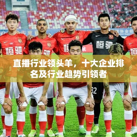 直播行业领头羊，十大企业排名及行业趋势引领者