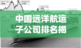 中国远洋航运子公司排名揭秘，探寻行业翘楚地位！