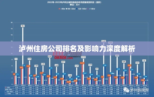泸州住房公司排名及影响力深度解析