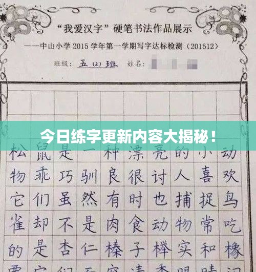 今日练字更新内容大揭秘！