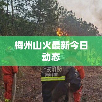 梅州山火最新今日动态