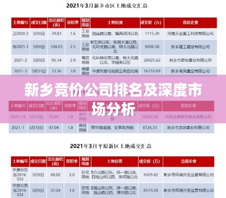 新乡竞价公司排名及深度市场分析