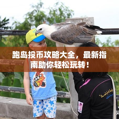 跑岛投币攻略大全，最新指南助你轻松玩转！