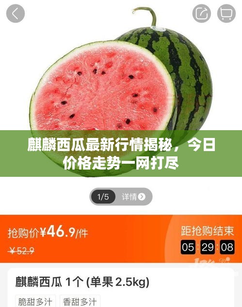 麒麟西瓜最新行情揭秘，今日价格走势一网打尽