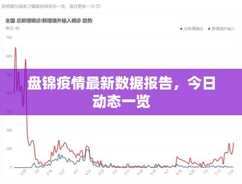盘锦疫情最新数据报告，今日动态一览