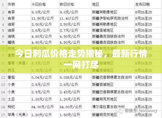 今日刺瓜价格走势揭秘，最新行情一网打尽
