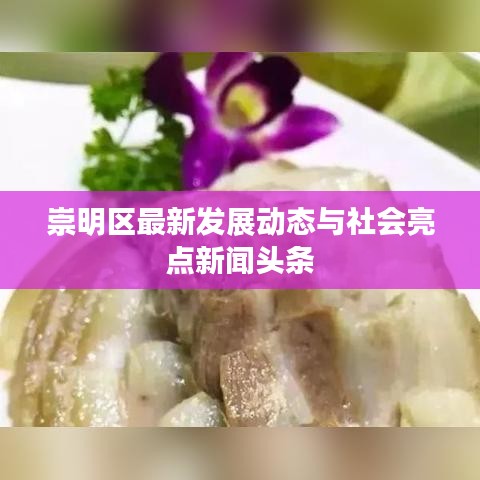 崇明区最新发展动态与社会亮点新闻头条