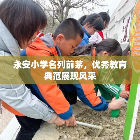 永安小学名列前茅，优秀教育典范展现风采