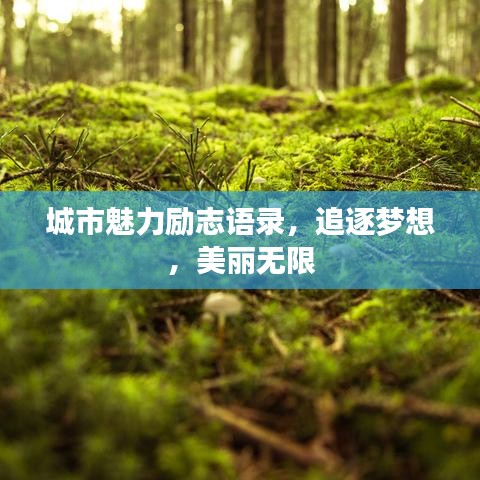 城市魅力励志语录，追逐梦想，美丽无限