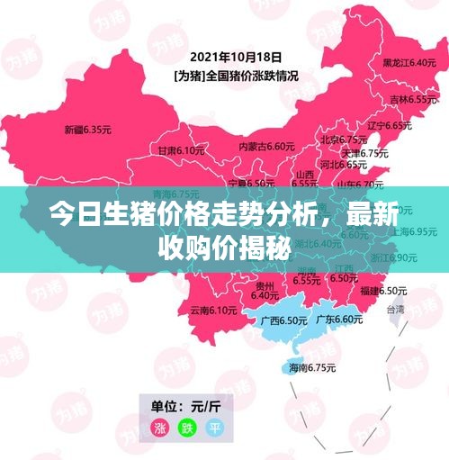 今日生猪价格走势分析，最新收购价揭秘