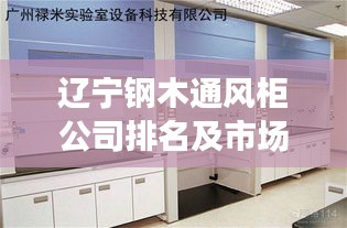 辽宁钢木通风柜公司排名及市场深度解析