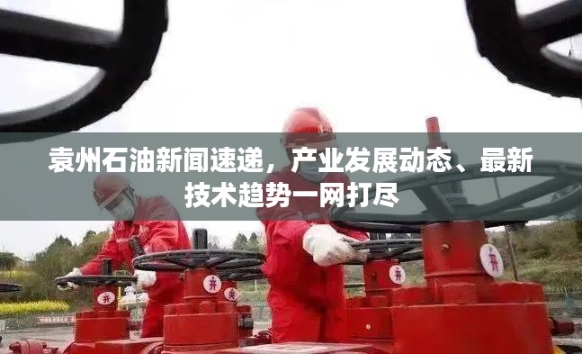 袁州石油新闻速递，产业发展动态、最新技术趋势一网打尽