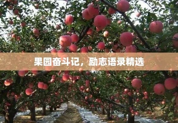 果园奋斗记，励志语录精选