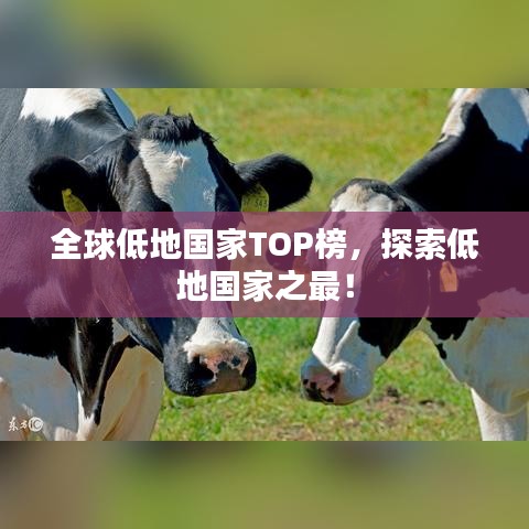 全球低地国家TOP榜，探索低地国家之最！