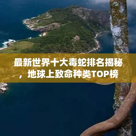 最新世界十大毒蛇排名揭秘，地球上致命种类TOP榜