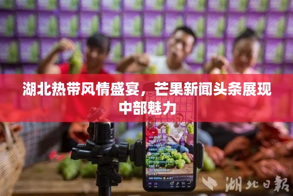 湖北热带风情盛宴，芒果新闻头条展现中部魅力