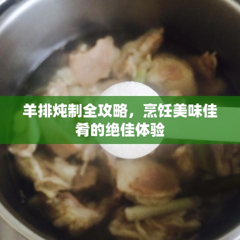 羊排炖制全攻略，烹饪美味佳肴的绝佳体验