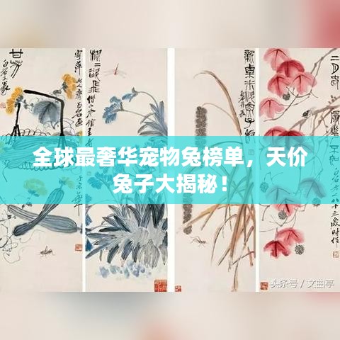 全球最奢华宠物兔榜单，天价兔子大揭秘！