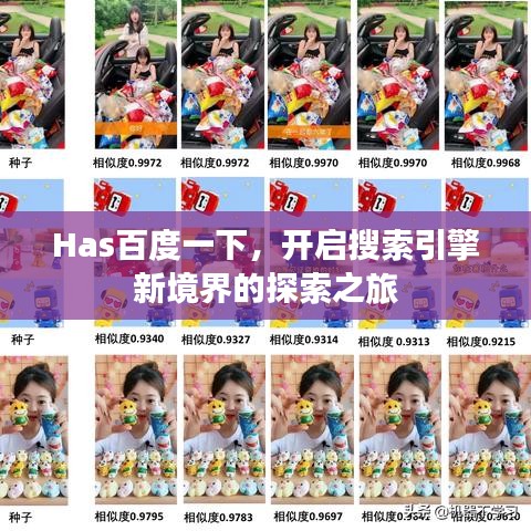 Has百度一下，开启搜索引擎新境界的探索之旅