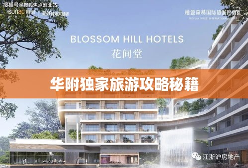 华附独家旅游攻略秘籍