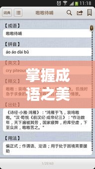 掌握成语之美，只需一键百度！