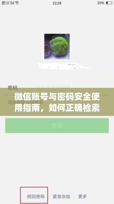 微信账号与密码安全使用指南，如何正确检索百度保障信息安全