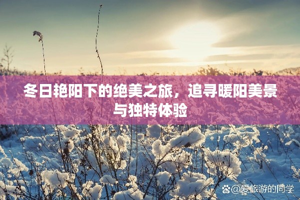 冬日艳阳下的绝美之旅，追寻暖阳美景与独特体验