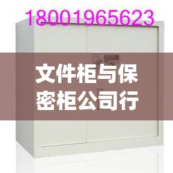 文件柜与保密柜公司行业排名揭秘，影响力与竞争力分析