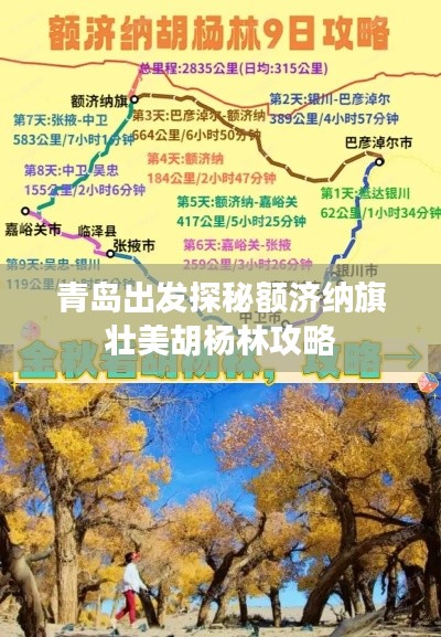 青岛出发探秘额济纳旗壮美胡杨林攻略