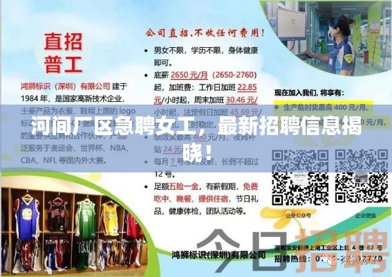 河间厂区急聘女工，最新招聘信息揭晓！