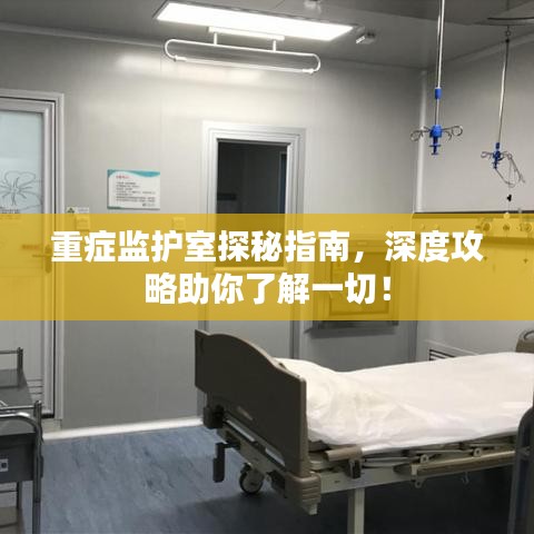 眼空四海 第2页