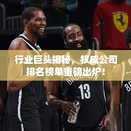 行业巨头揭秘，权威公司排名榜单重磅出炉！