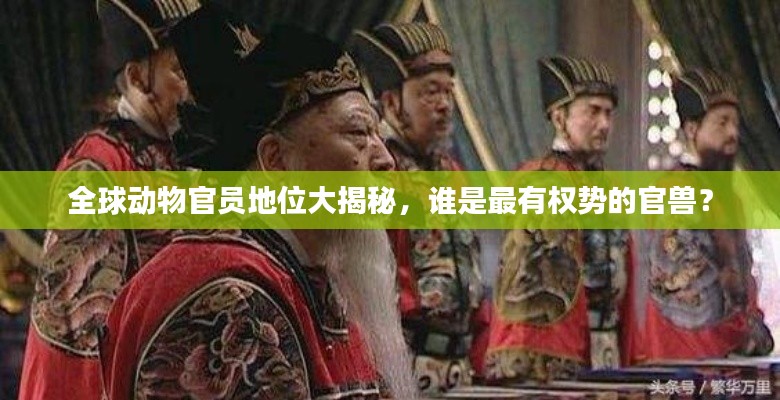 全球动物官员地位大揭秘，谁是最有权势的官兽？