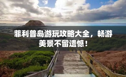 菲利普岛游玩攻略大全，畅游美景不留遗憾！
