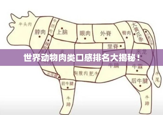 世界动物肉类口感排名大揭秘！