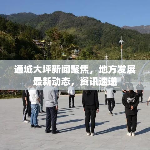 通城大坪新闻聚焦，地方发展最新动态，资讯速递