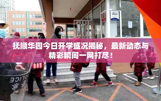 抚顺华园今日开学盛况揭秘，最新动态与精彩瞬间一网打尽！