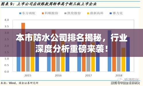 本市防水公司排名揭秘，行业深度分析重磅来袭！