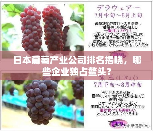 日本葡萄产业公司排名揭晓，哪些企业独占鳌头？