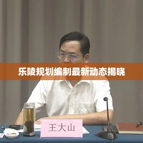 乐陵规划编制最新动态揭晓
