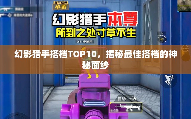 幻影猎手搭档TOP10，揭秘最佳搭档的神秘面纱