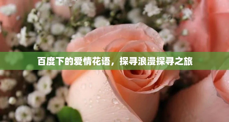 百度下的爱情花语，探寻浪漫探寻之旅